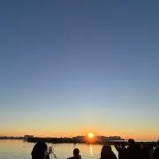 まの画像