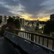 シューウの画像