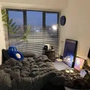 陽紀の画像