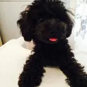 Nonの画像