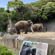 Nana⭐︎の画像