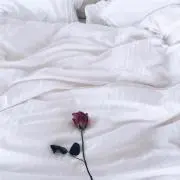 Rの画像