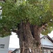 年末SALE】大阪 ホシザキ業務用冷凍冷蔵庫 冷凍394L 冷蔵394L - メルカリ