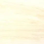 しいたけの画像