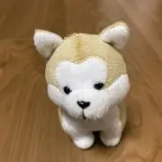 バウの画像