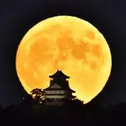 1脚 内田洋行 ロビーチェア 2P ラウンジ 長椅子 引き取り限定静岡県富士市 1脚 内田洋行 ロビーチェア 2P ラウンジ 長椅子 引き取り限定静岡県