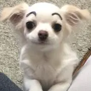 丸