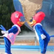 ヌオーの画像