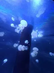 ☆優魅☆