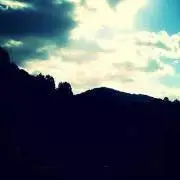 きゅうの画像