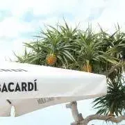 ロージーの画像