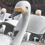 ちの画像