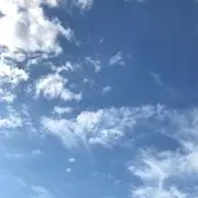 すの画像