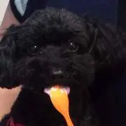 ひとみ