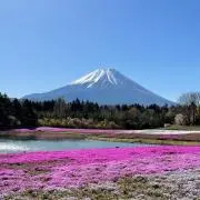 cervino4478の画像