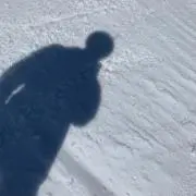 43の画像