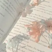 ドチョンクの画像