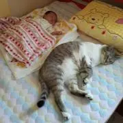 みるく