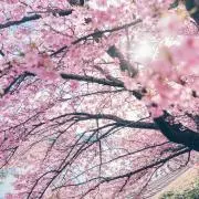 りんの画像