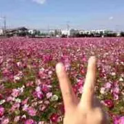 emmariの画像