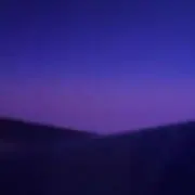 meiの画像