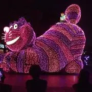 こぴの画像