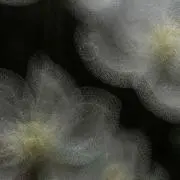 ( ơᴗơ )♡の画像