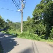 山さんの画像