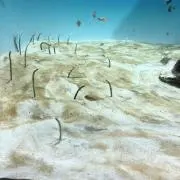 Ｍ⭐︎の画像