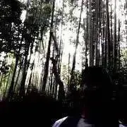 Eyoの画像