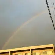 虹_lxOの画像