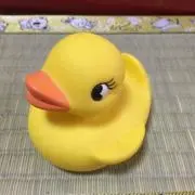 ヒヨコ隊⭐︎(๑・̑◡・̑๑)の画像