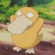 抹茶の画像