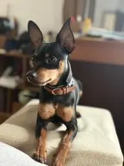 むぅ