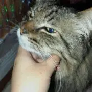 かえ