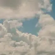 アランカル