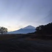 Chateau Léonの画像