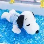 ココア
