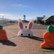 mochomiの画像