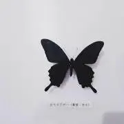 slowの画像