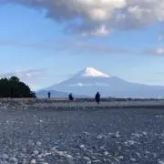 よしぼんたの画像