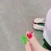 よつはの画像