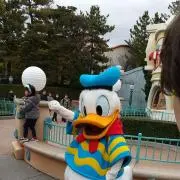 あかさたなの画像