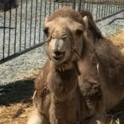 ひさぼーの画像