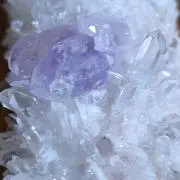 アリア
