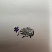 こたろーの画像