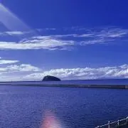 やゆよの画像