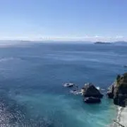 まこんの画像