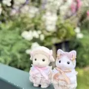 Akaの画像