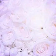Honey＊の画像